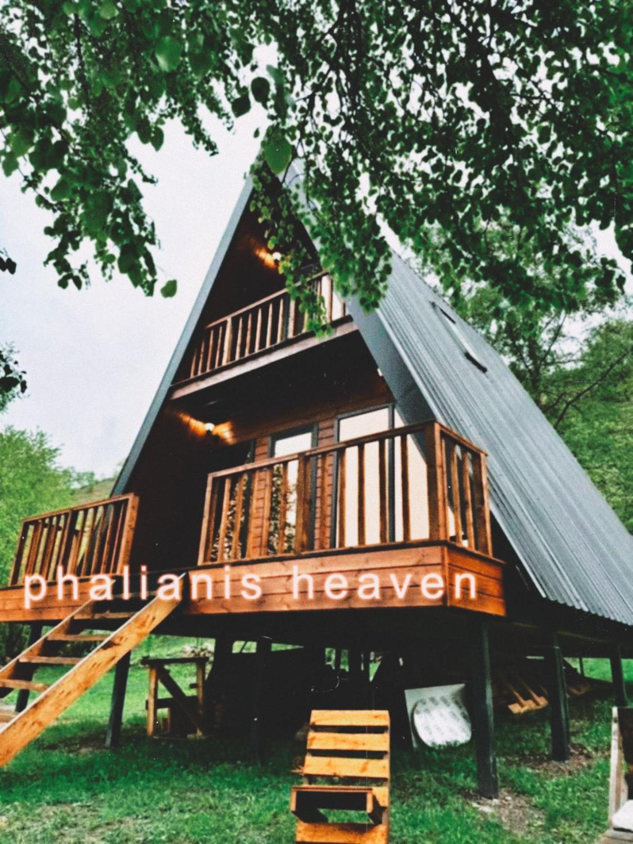 Phaliani'S Heaven Villa Mestia Dış mekan fotoğraf